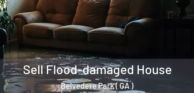  Sell Flood-damaged House Belvedere Park ( GA )