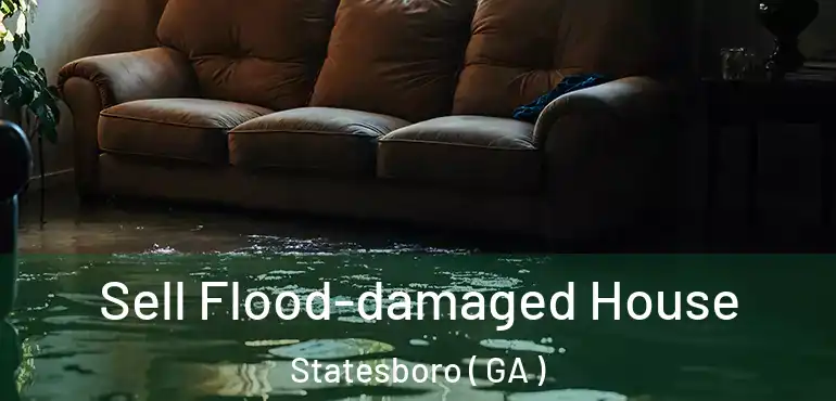  Sell Flood-damaged House Statesboro ( GA )