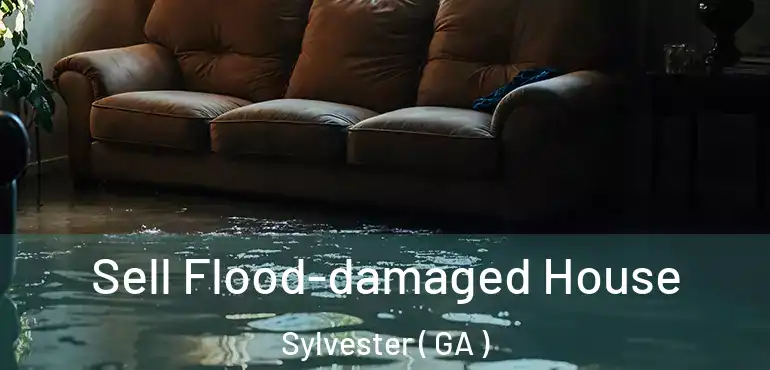  Sell Flood-damaged House Sylvester ( GA )