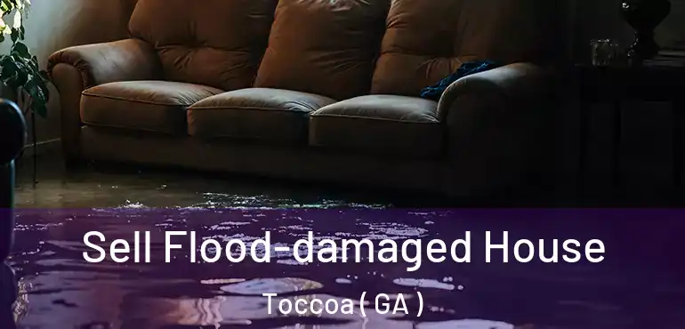  Sell Flood-damaged House Toccoa ( GA )