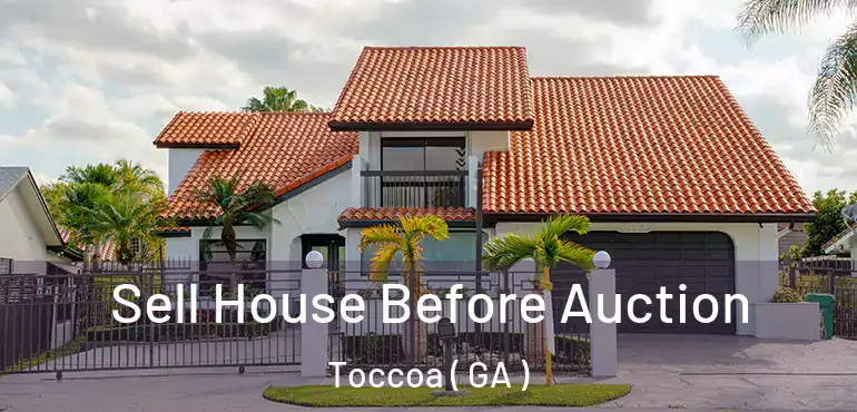  Sell House Before Auction Toccoa ( GA )