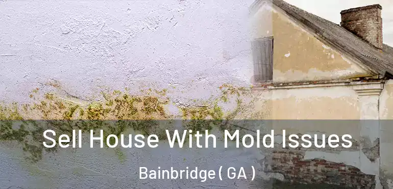  Sell House With Mold Issues Bainbridge ( GA )