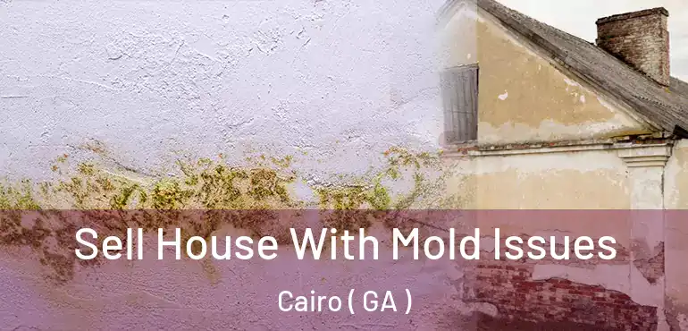  Sell House With Mold Issues Cairo ( GA )