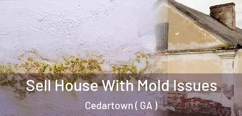  Sell House With Mold Issues Cedartown ( GA )