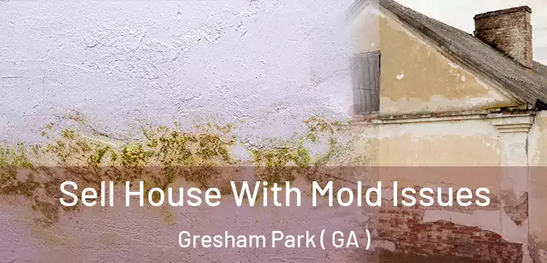  Sell House With Mold Issues Gresham Park ( GA )