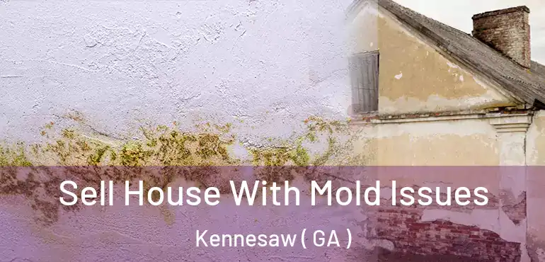  Sell House With Mold Issues Kennesaw ( GA )