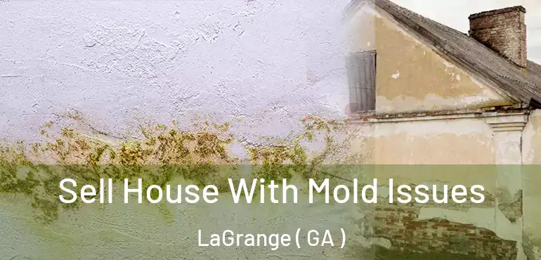  Sell House With Mold Issues LaGrange ( GA )