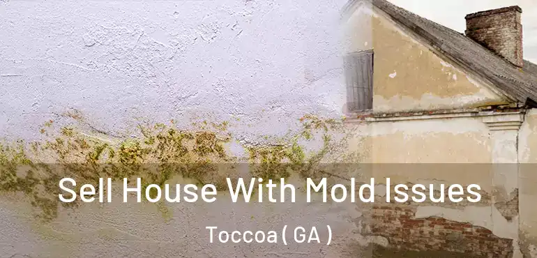  Sell House With Mold Issues Toccoa ( GA )