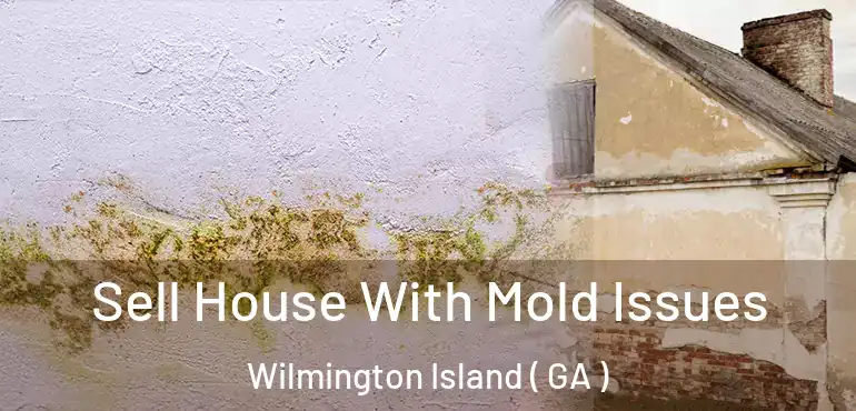  Sell House With Mold Issues Wilmington Island ( GA )
